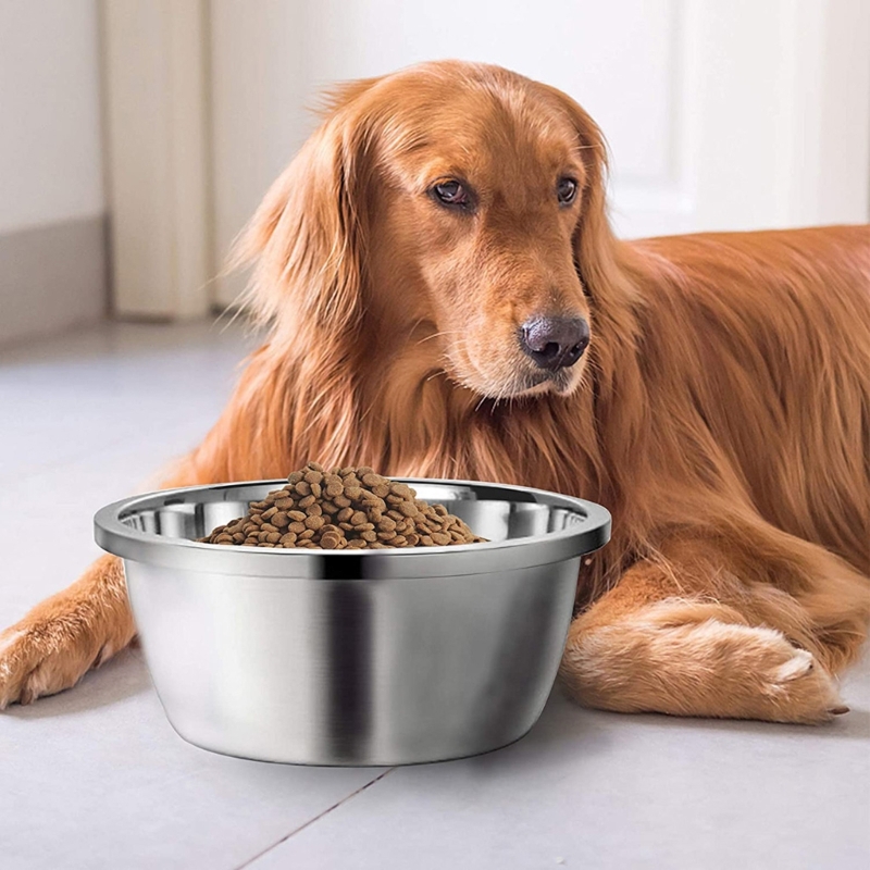 Anti-tip Dog Bowls Stainless S - огляд і ціна Storage Tips For Food
