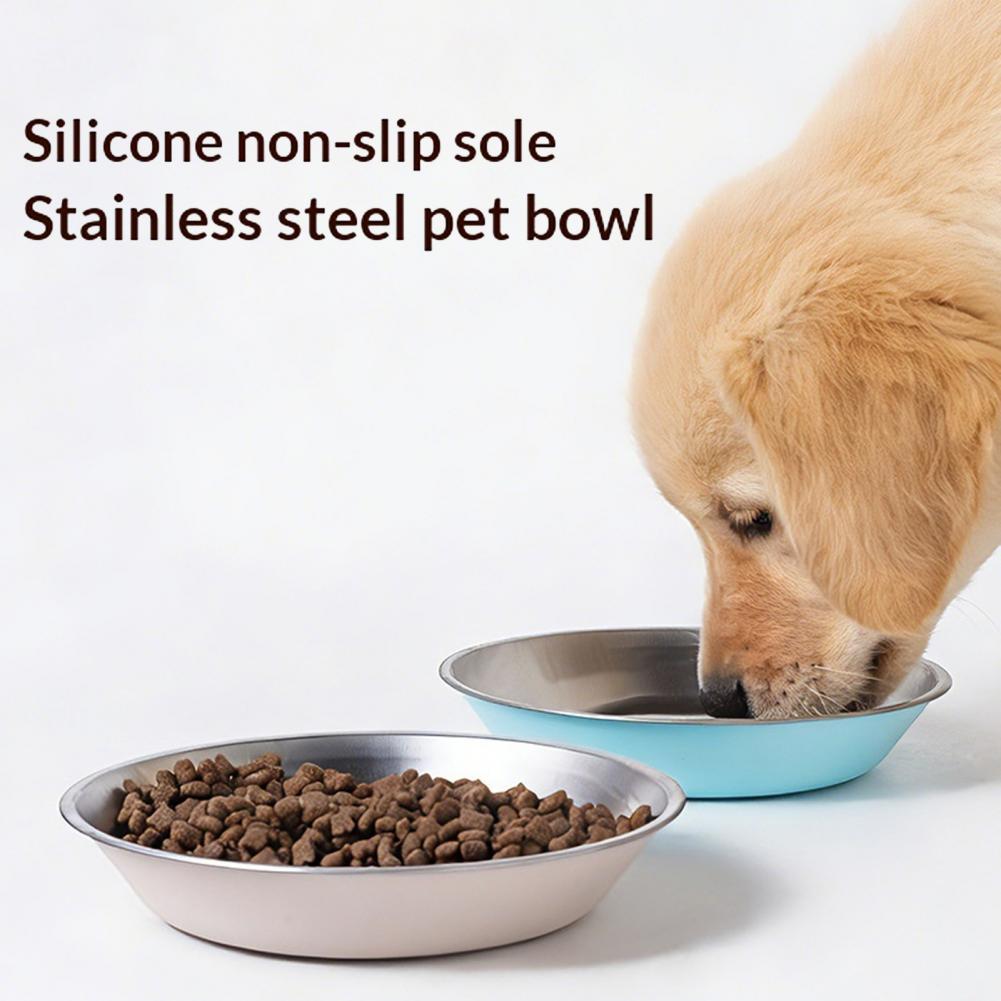 Dog Bowl Stainless Steel Pet B - огляд і ціна Storage Tips For Food
